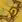 season-of-the-wish-week-4-challenges-your-guide-to-massive-xp-bright-dust-in-2026-image-4